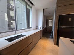 Leedon Residence (D10), Condominium #596537071